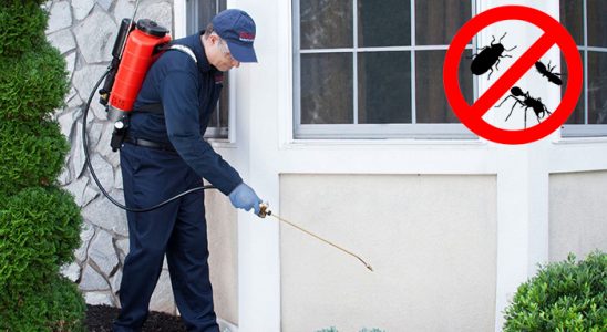 Buca Tahtakurusu İlaçlama böcek ilaçlama ve haşere kontrolü — ilaclama-tr.com